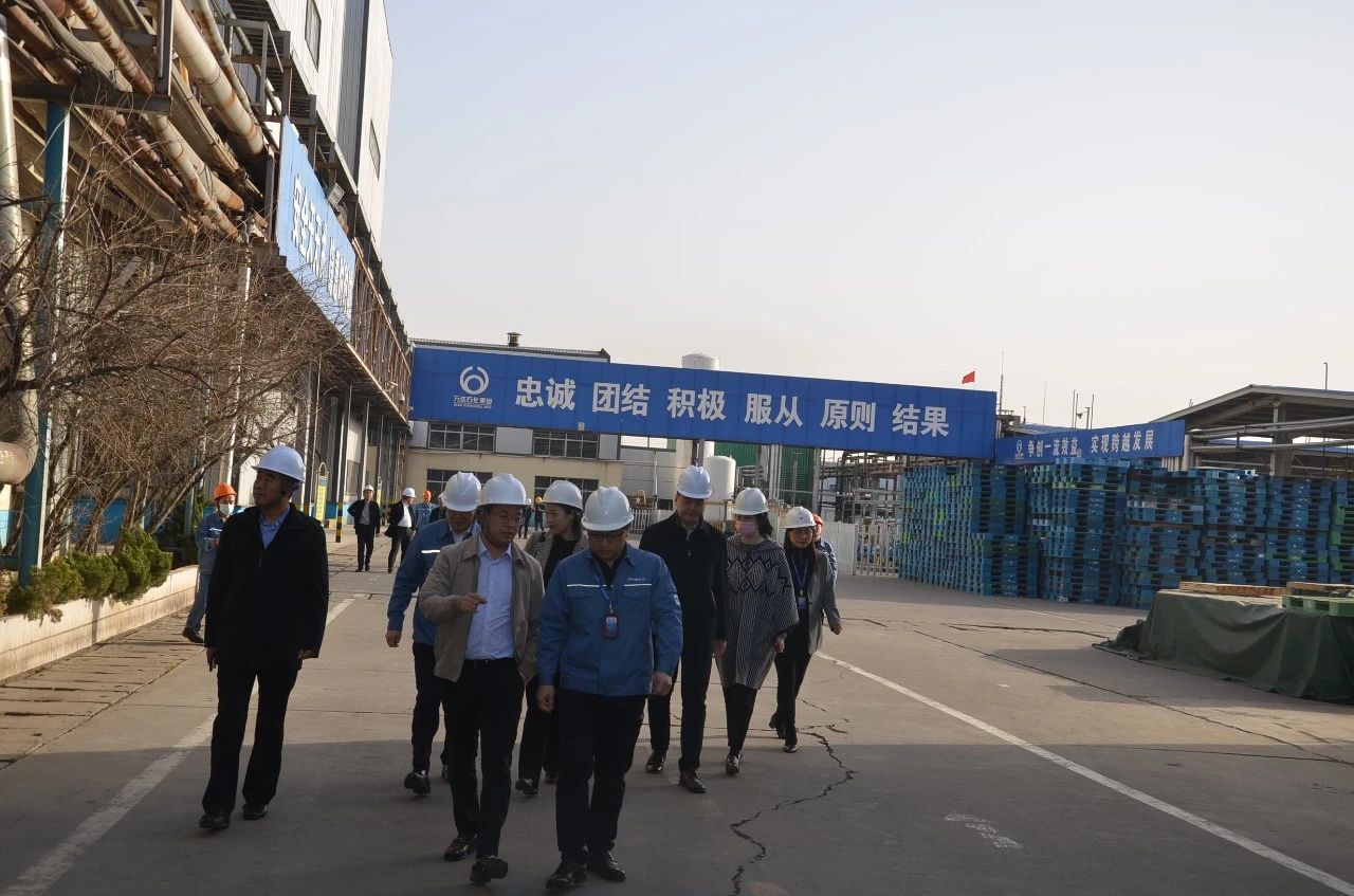 赏金船长·(中国大陆)官方网站